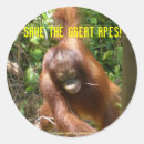 Search for ape stickers Wildlife