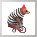 Search for tricycle posters Bike