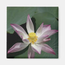 Recherche de vietnamien magnets Rose