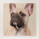 Search for dog picture puzzles For pets