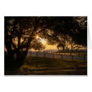 Search for solacement Sunset