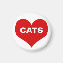 Recherche de amour de félin Chaton