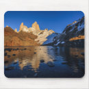 Recherche de argentin tapis souris Nature