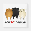 Search for pomeranian magnets Funny
