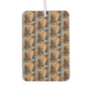 Recherche de chien désodorisants voiture Dog