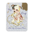 Recherche de chinois magnets Chiot