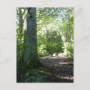 Search for wood postcards Peaceful