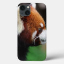 Search for panda ipad cases Cute