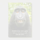 Recherche de personnes heureuses posters Faune