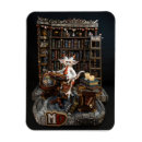 Recherche de dragons magnets Imaginaire