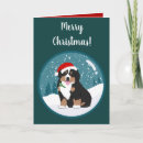 Recherche de bernese mountain dog christmas cards Berner