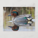 Recherche de danita delimont posters Arctique