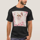 Search for birman cat Pet