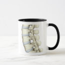 Search for vertebra mugs Medical