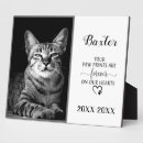 Recherche de memorial plaques Mémorial du chat