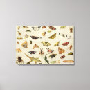Search for kessel canvas prints 17th