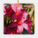 Search for plumeria ornaments Hawaiian flowers