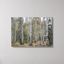 Search for birch tree forest canvas prints Trees
