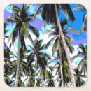 Search for rainforest coasters Paradise