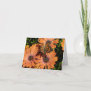 Search for monarch butterflies cards Orange