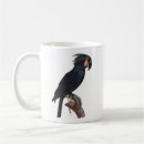 Recherche de histoire naturelle tasses Oiseau