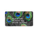 Search for bird feather return address labels Photography