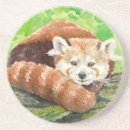 Recherche de panda rouge bar Nature