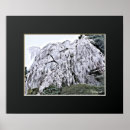 Search for cherry blossom tree art Temple