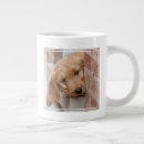 Recherche de pékin tasses Chien