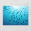 Search for deep sea fish postcards Animal