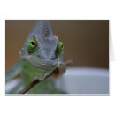 Recherche de yémen cartes postales Jémen