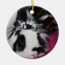 Search for black rabbit ornaments Animal