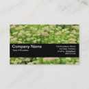 Search for ecommerce business cards Identity