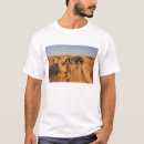 Search for tunisia mens tshirts Walter bibikow