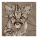 Recherche de peintures chaton posters Pour tous
