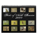 Search for 2009 office supplies Scenery