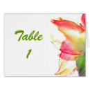 Recherche de amaryllis photographie Floral