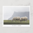 Search for graze photography Pasture