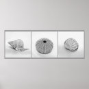 Search for black white ocean art Vacation