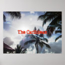Search for caribbean posters Palm trees