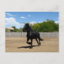 Search for horses galloping postcards Black