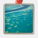 Search for queensland ornaments Whitsunday coast