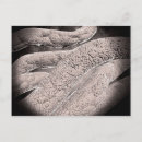 Search for infections postcards Bacteria