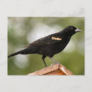 Recherche de à ailes photographie Rouge