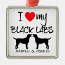 Recherche de black lab ornements Noël