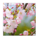 Search for cherry blossom tiles Japanese cherry tree