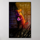 Search for animal zodiac posters Animals