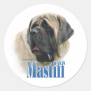 Search for mastiff stickers Old english mastiff