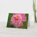 Search for peony birthday cards Flowers