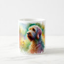 Search for spinone Animals